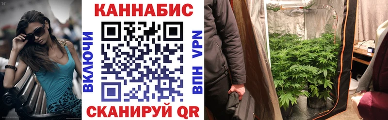 Канабис AK-47  Купить где  Ачхой-Мартан 